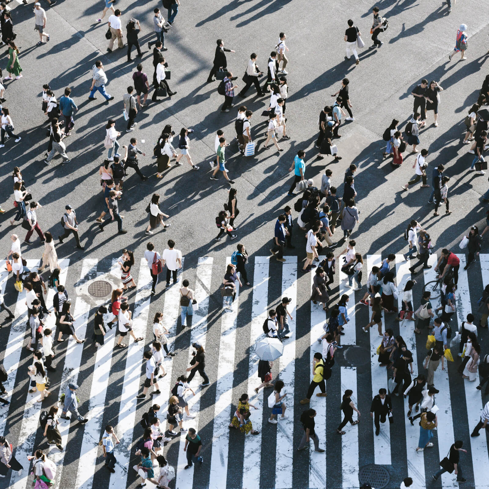 Busy Crosswalk